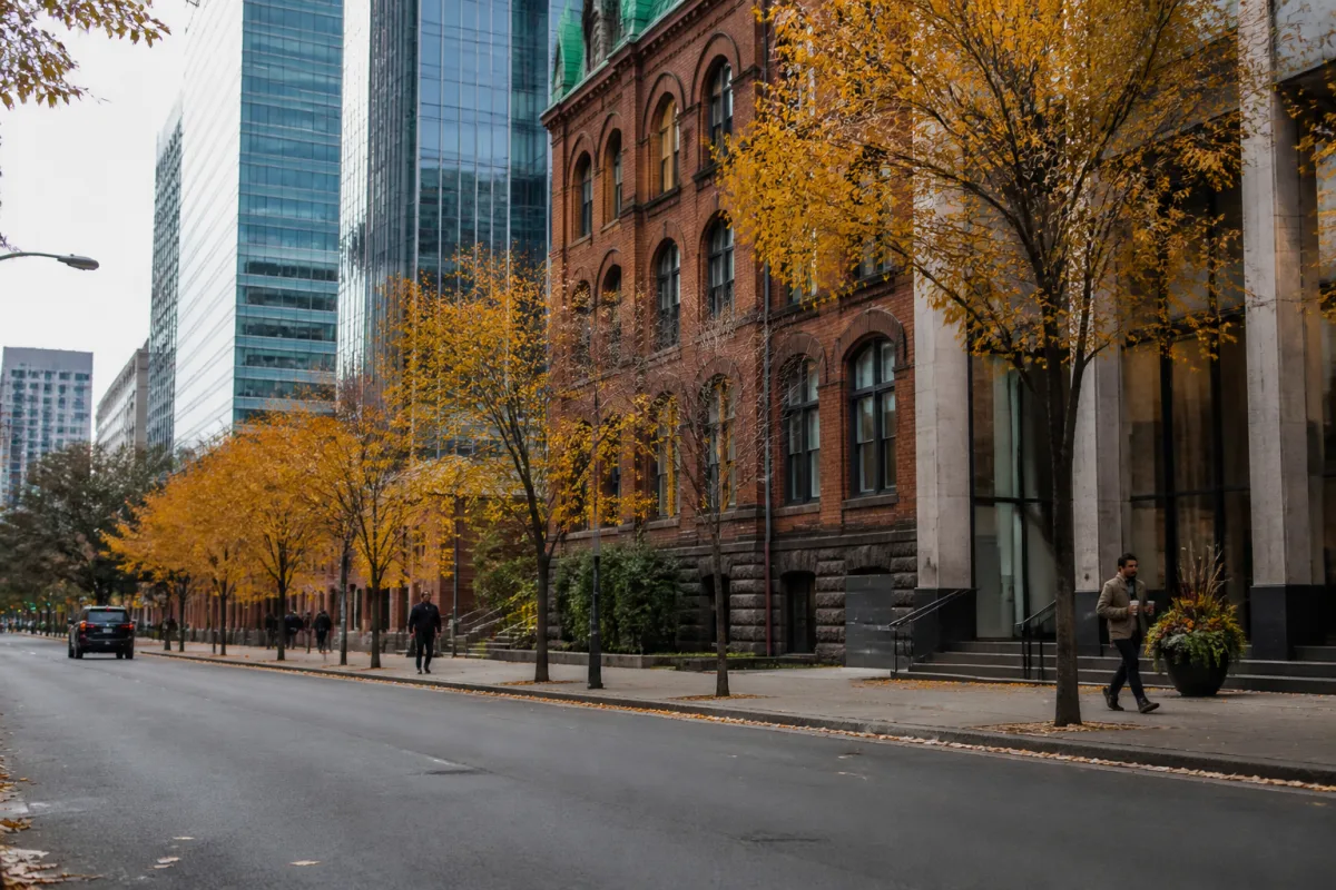 E-2 or L-1: Which Visa Fits a Canadian Business Expanding to the US