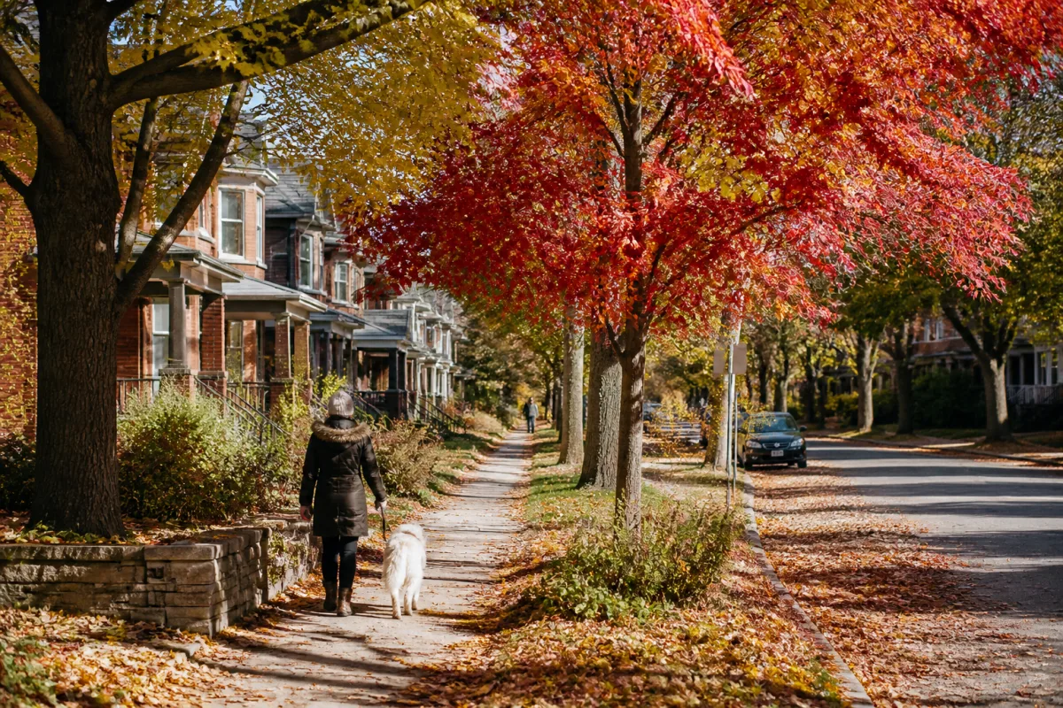 What to do if you were added as a de facto partner without consent in Canada