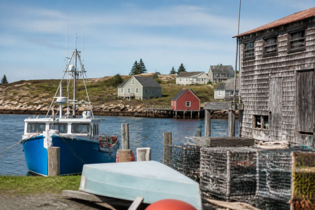 Программа Nova Scotia Skilled Worker: требования для любой профессии