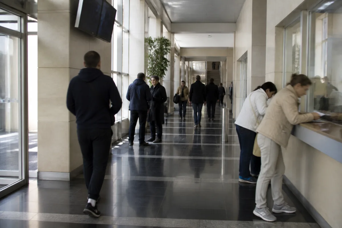 Человек за компьютером проверяет собственные данные в реестре PESEL перед подачей заявления на MOS