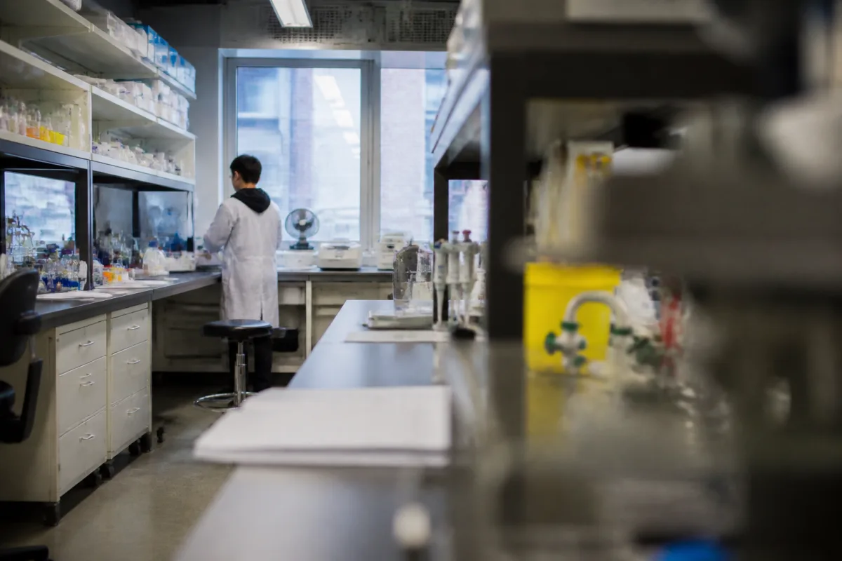 AI, medicine, and oil-and-gas specialists who fit different immigration categories