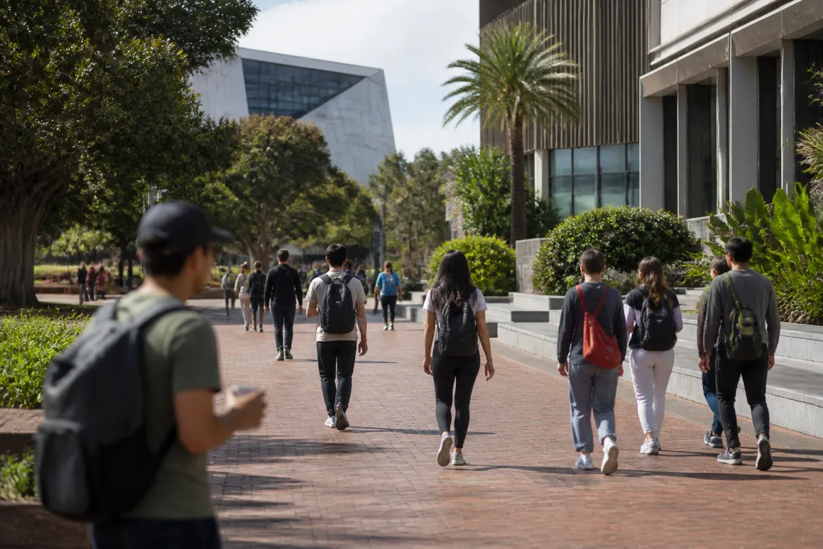 A fork between study programs in Australia, each leading to a different migration path